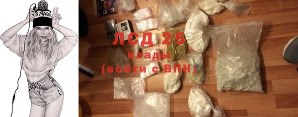 крисы Калининец