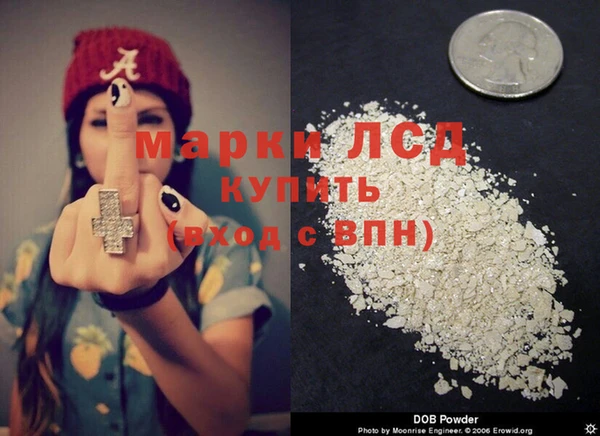 крисы Калининец